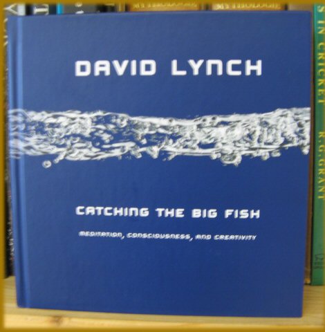 Catching the Big Fish: Meditation, Consciousness, and Creativity