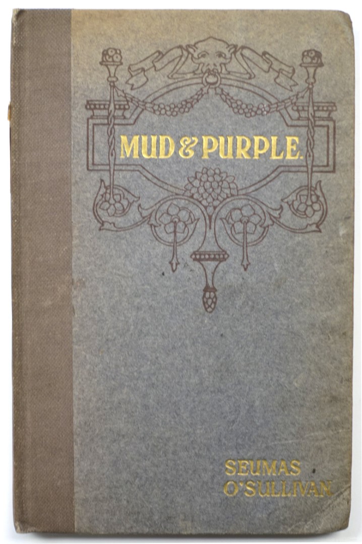 Mud and Purple: Pages from the Diary of a Dublin Man