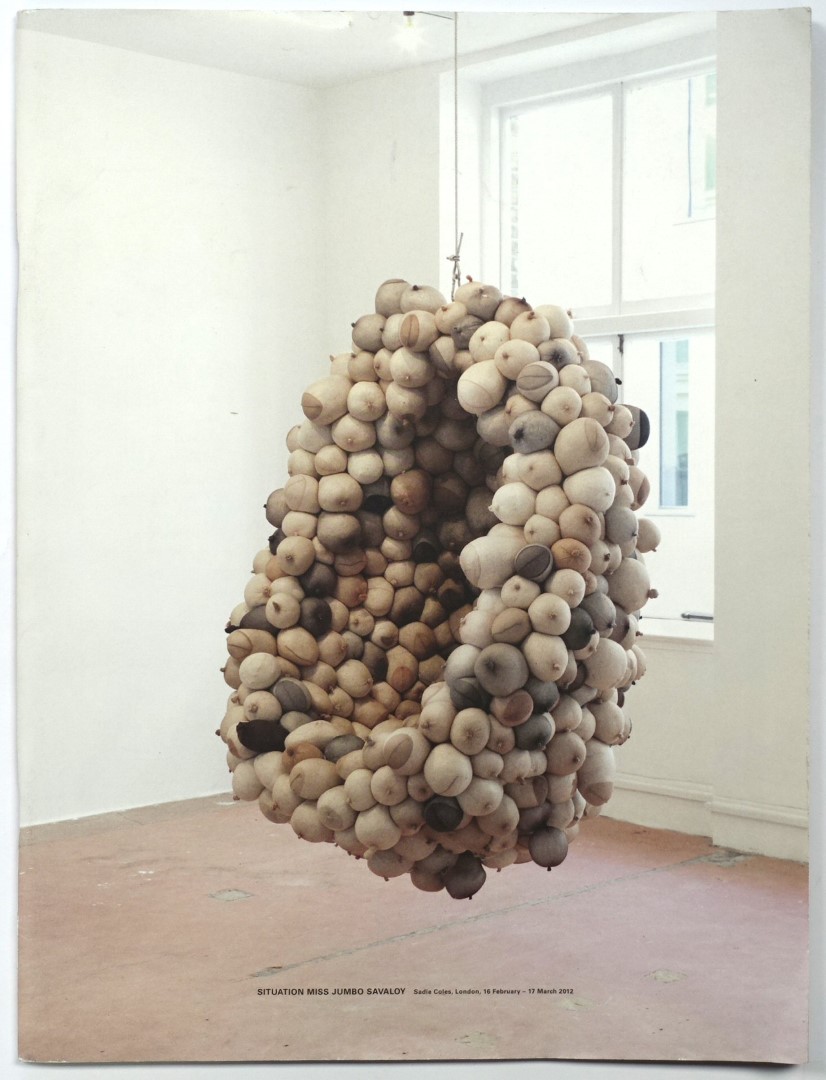 Sarah Lucas: Situation