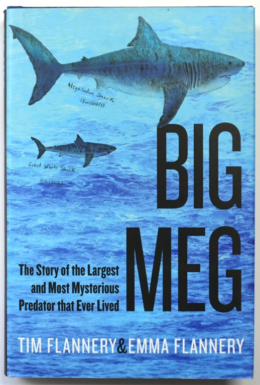 Big Meg: The Story of the Largest and Most Mysterious Predator that Ever Lived