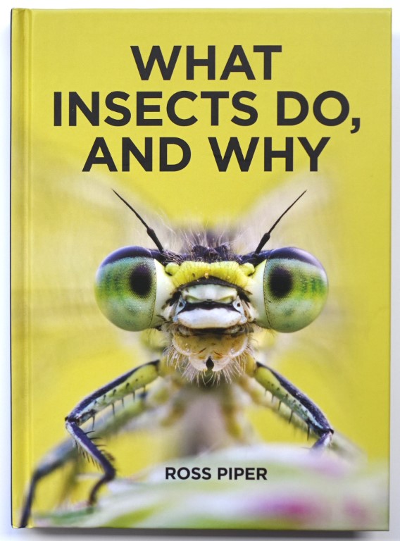 What Insects Do, and Why