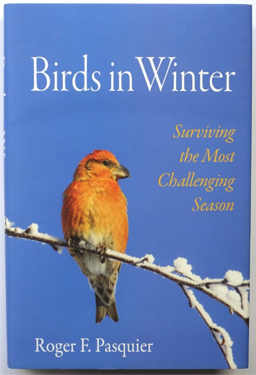 Birds in Winter: Surviving the Most Challenging Season