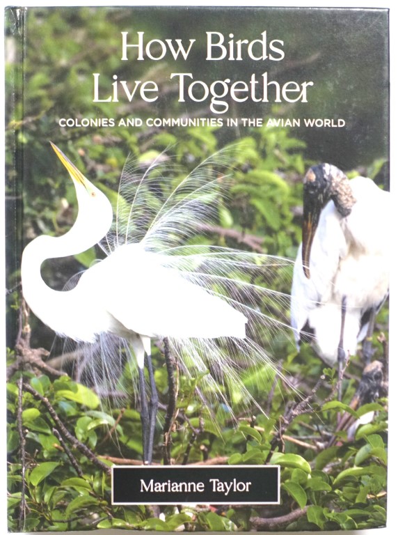 How Birds Live Together: Colonies and Communities in the Avian World