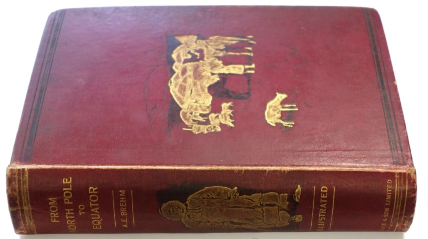 From North Pole to Equator: Studies of Wild Life and Scenes in Many Lands