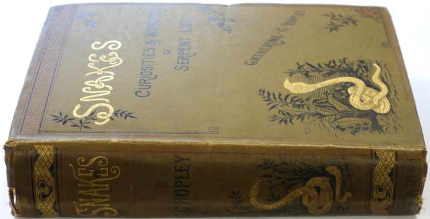 Snakes: Curiosities and Wonders of Serpent Life