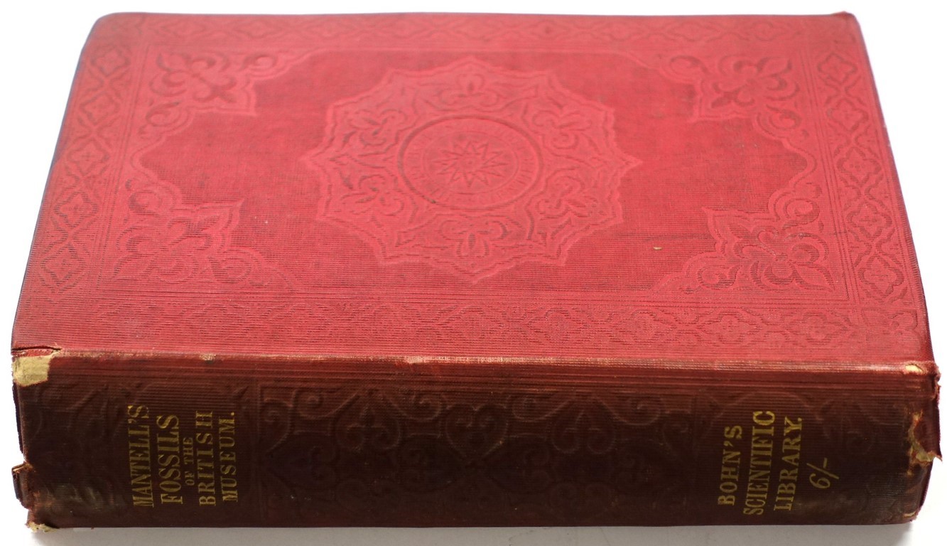 Petrifactions and their Teachings; or A Handbook to the Gallery of Organic remains of The British Museum