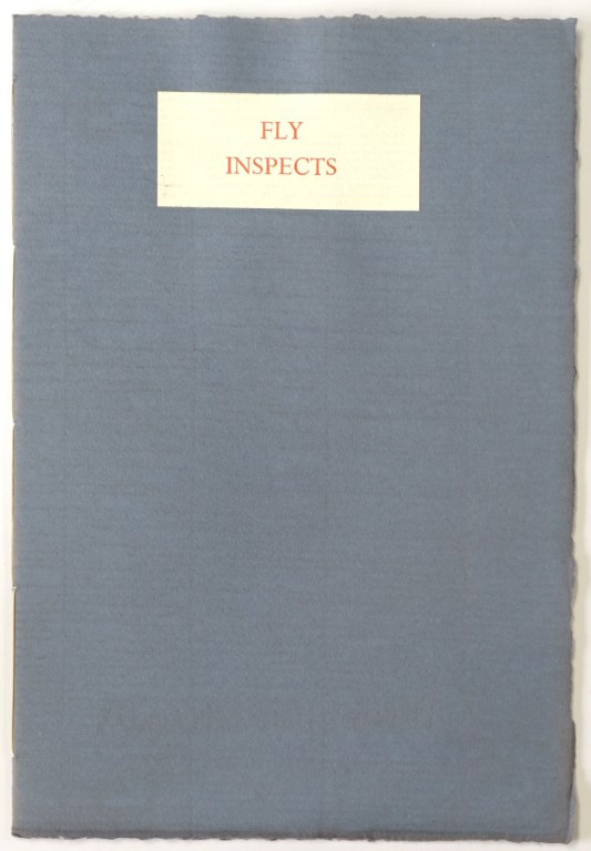 Fly Inspects