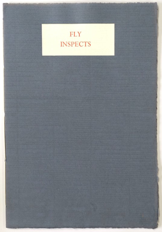 Fly Inspects