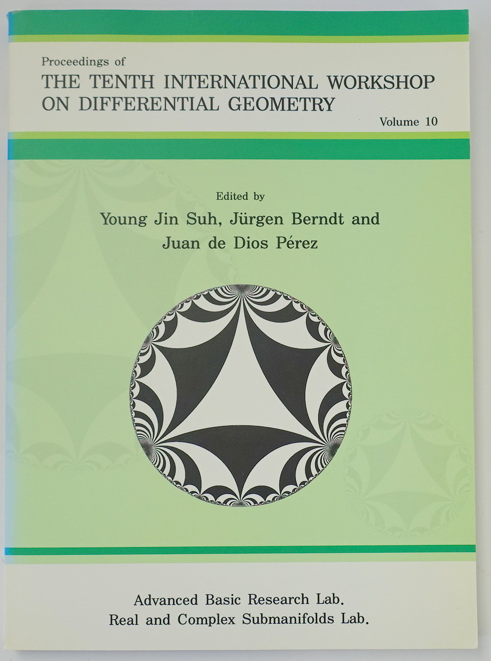 Proceedings of the Tenth International Workshop on Differential Geometry: Volume 10