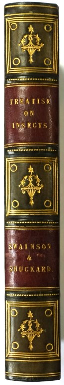 A Treatise on the History and Natural Arrangement of Insects