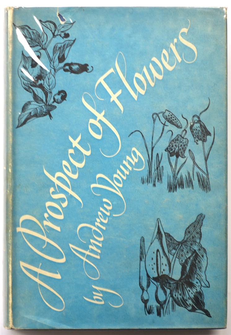 A Prospect of Flowers