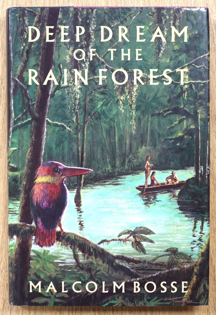 Deep Dream of the Rain Forest