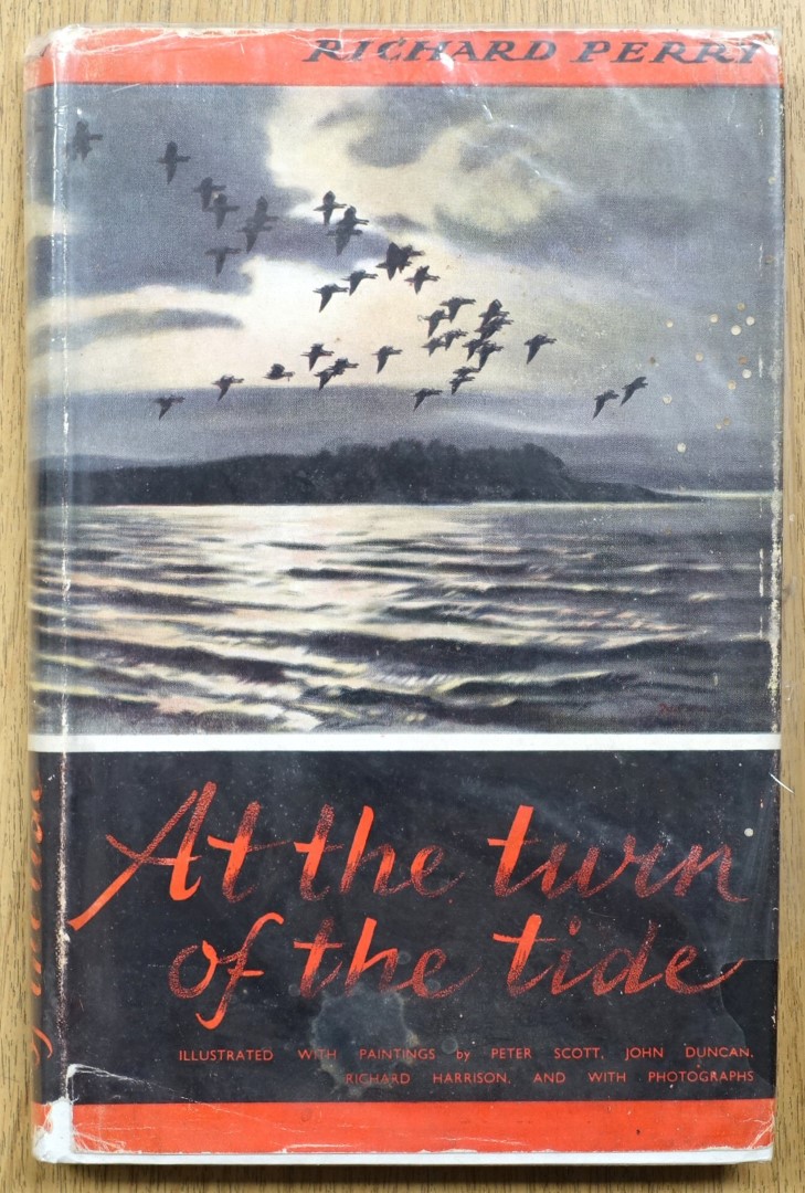 At the Turn of the Tide: A Book of Wild Birds