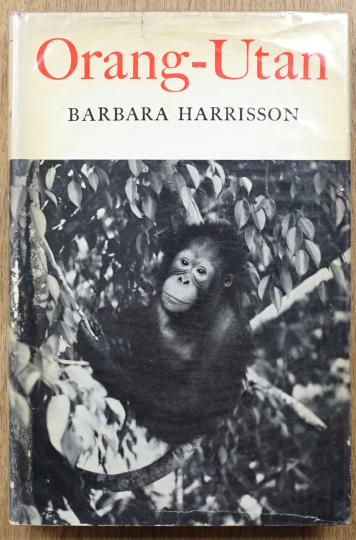 Orang-Utan