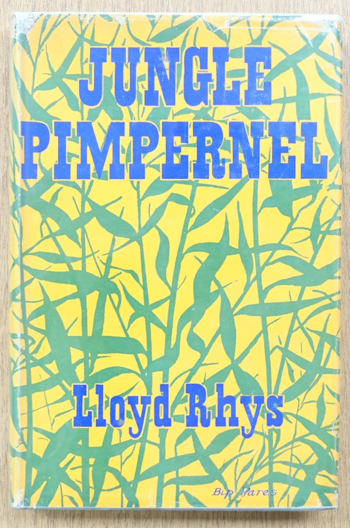 Jungle Pimpernel: The Story of a District Officer in Central Netherlands New Guinea