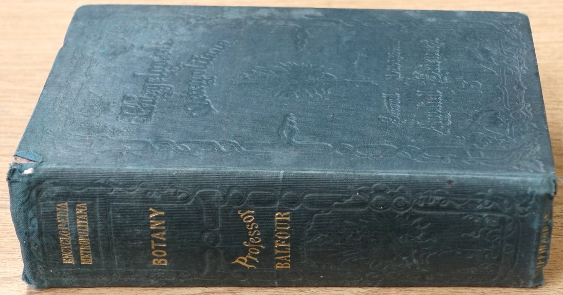 A Manual of Botany: Being an Introduction to the Study of the Structure, Physiology and Classification of Plants