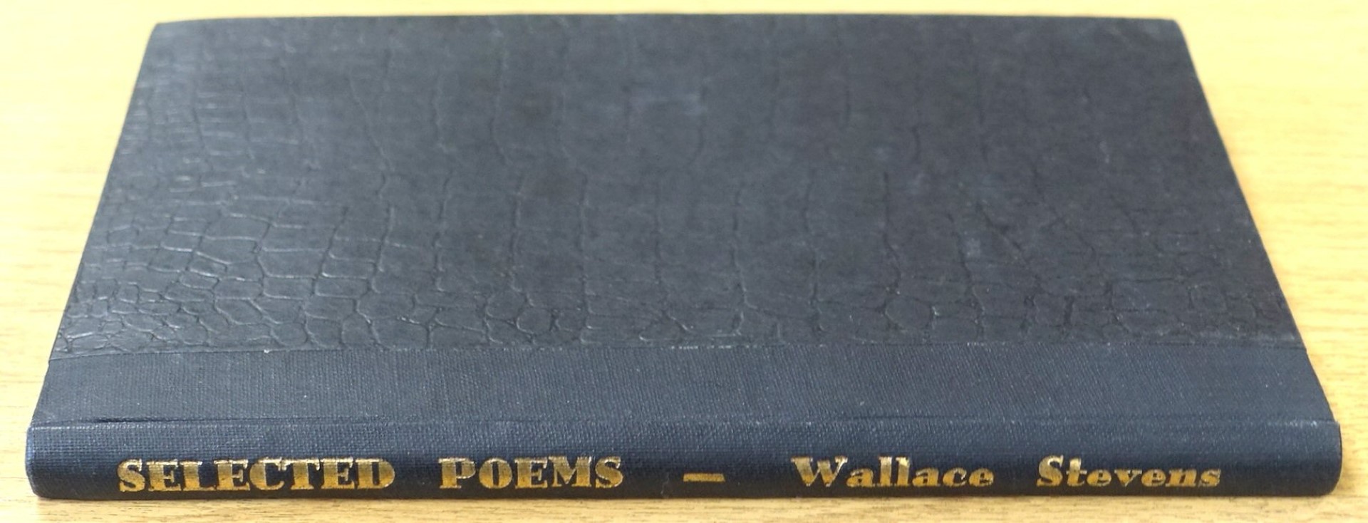 Selected Poems by Steven Wallace