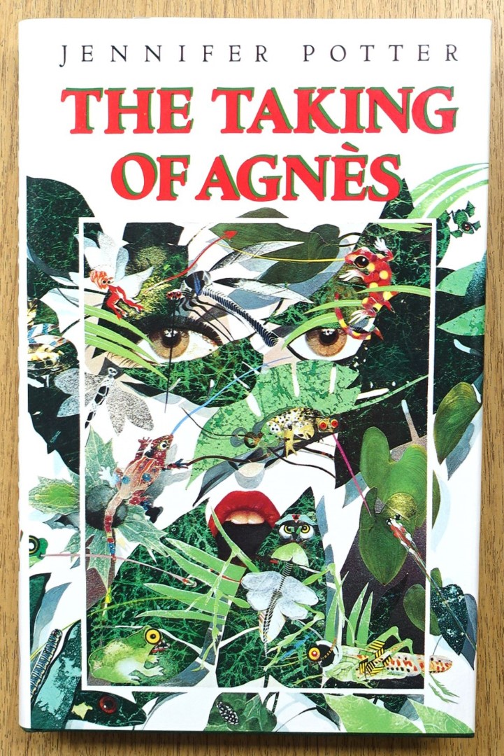 The Taking of AGNES