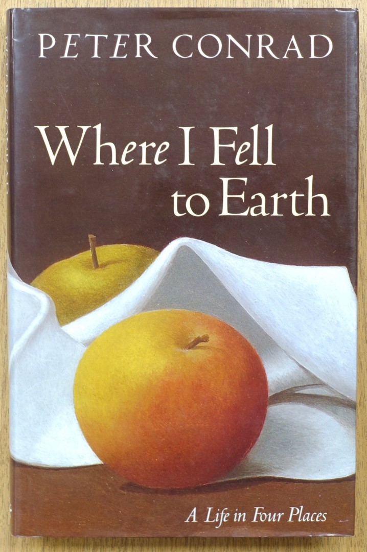 Where I Fell to Earth