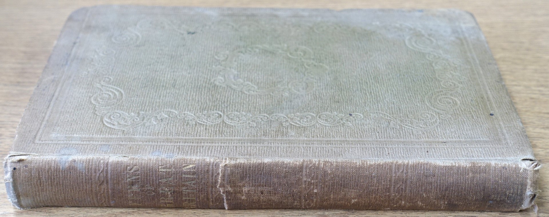 The Ferns of Great Britain and their Allies: The Club-Mosses, Pepperworts, and Horsetails
