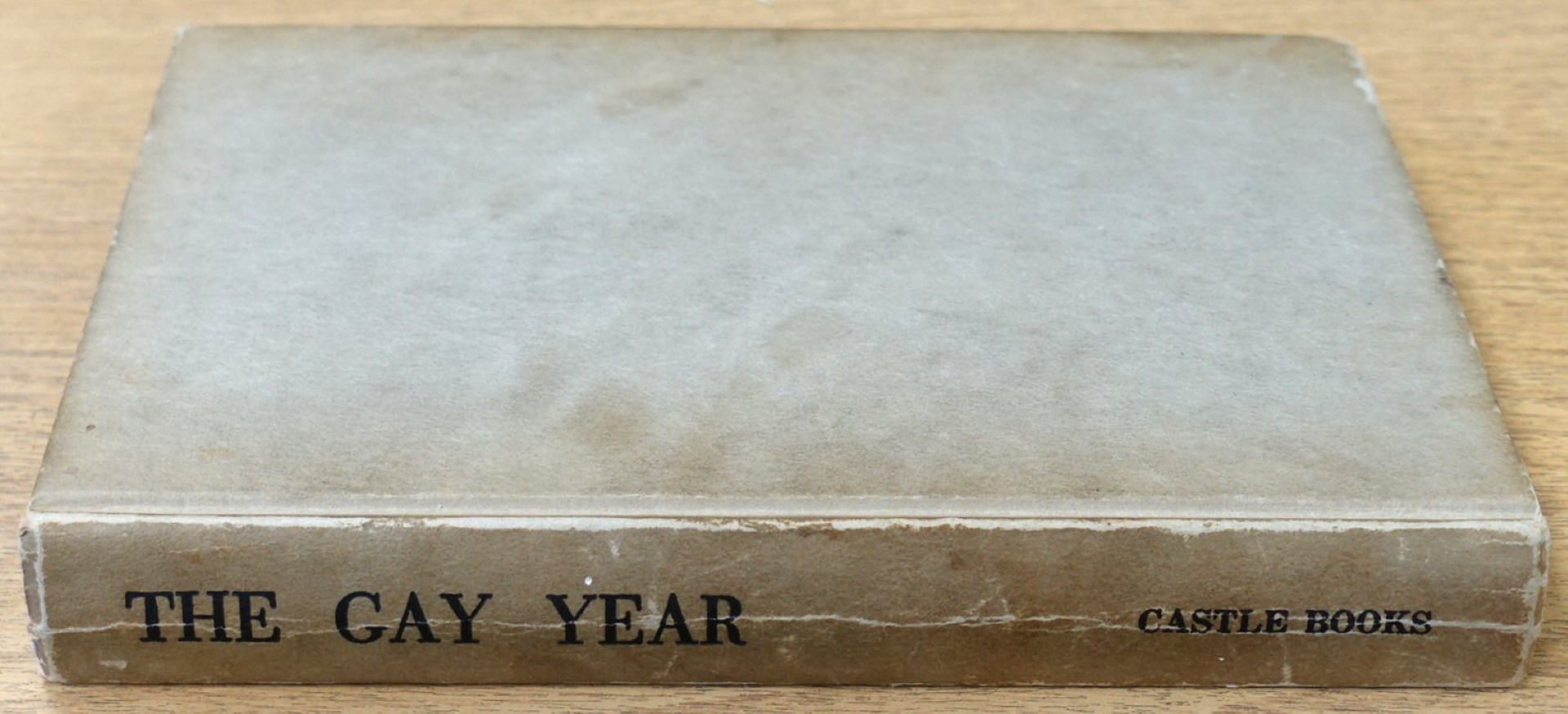 The Gay Year: A Novel