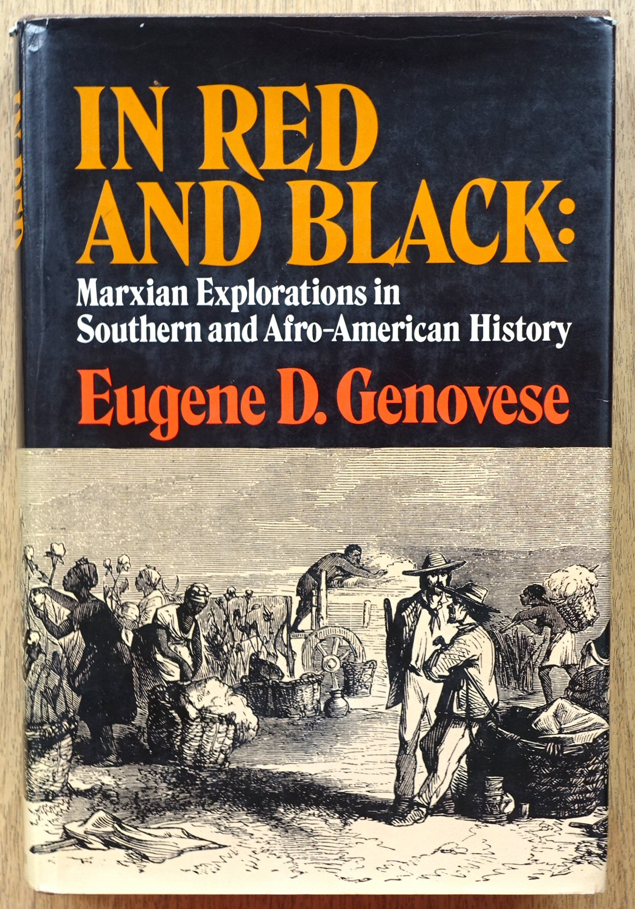 In Red and Black: Marxian Explorations in Southern and Afro-American History