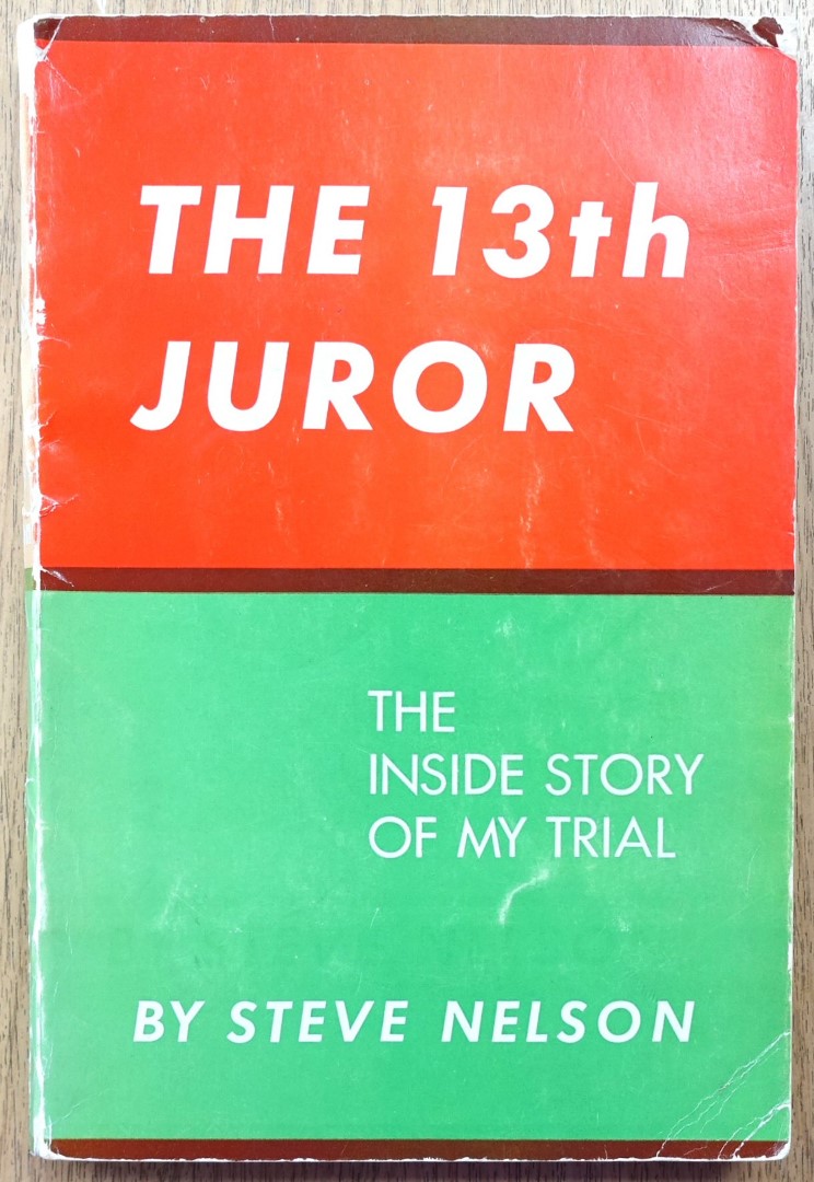 The 13th Juror: The Inside Story of My Trial