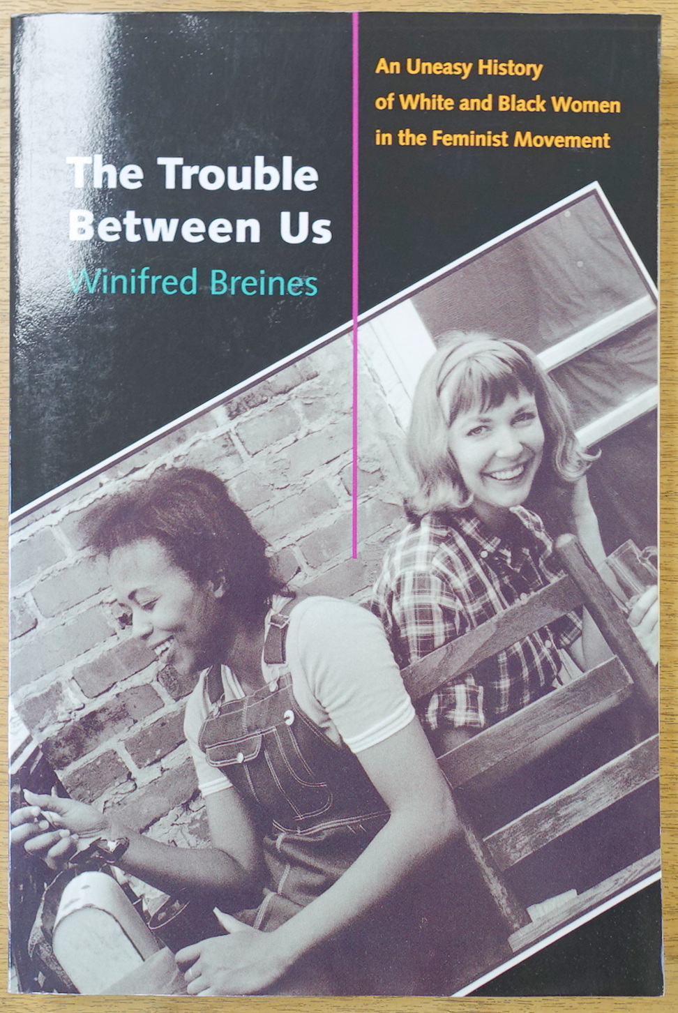 The Trouble Between Us: An Uneasy History of White and Black Women in the Feminist Movement