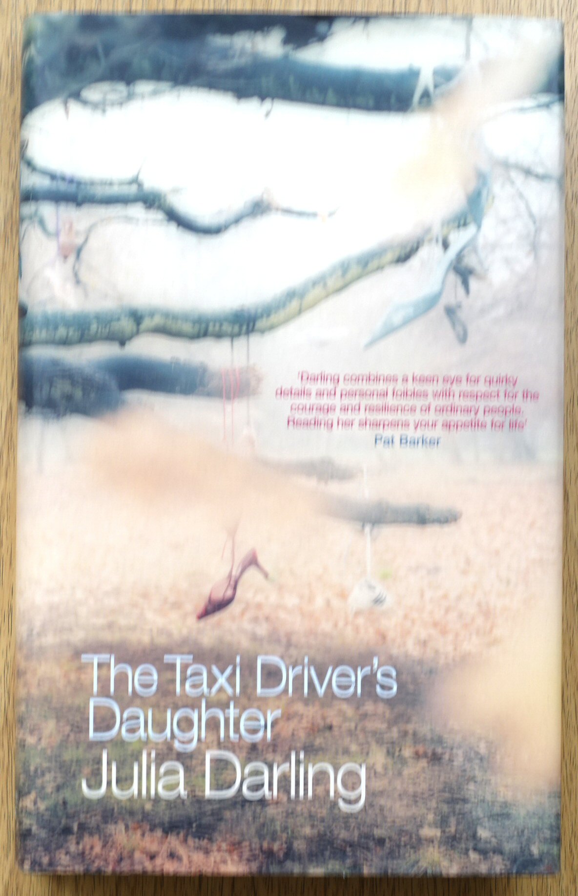 The Taxi Driver's Daughter