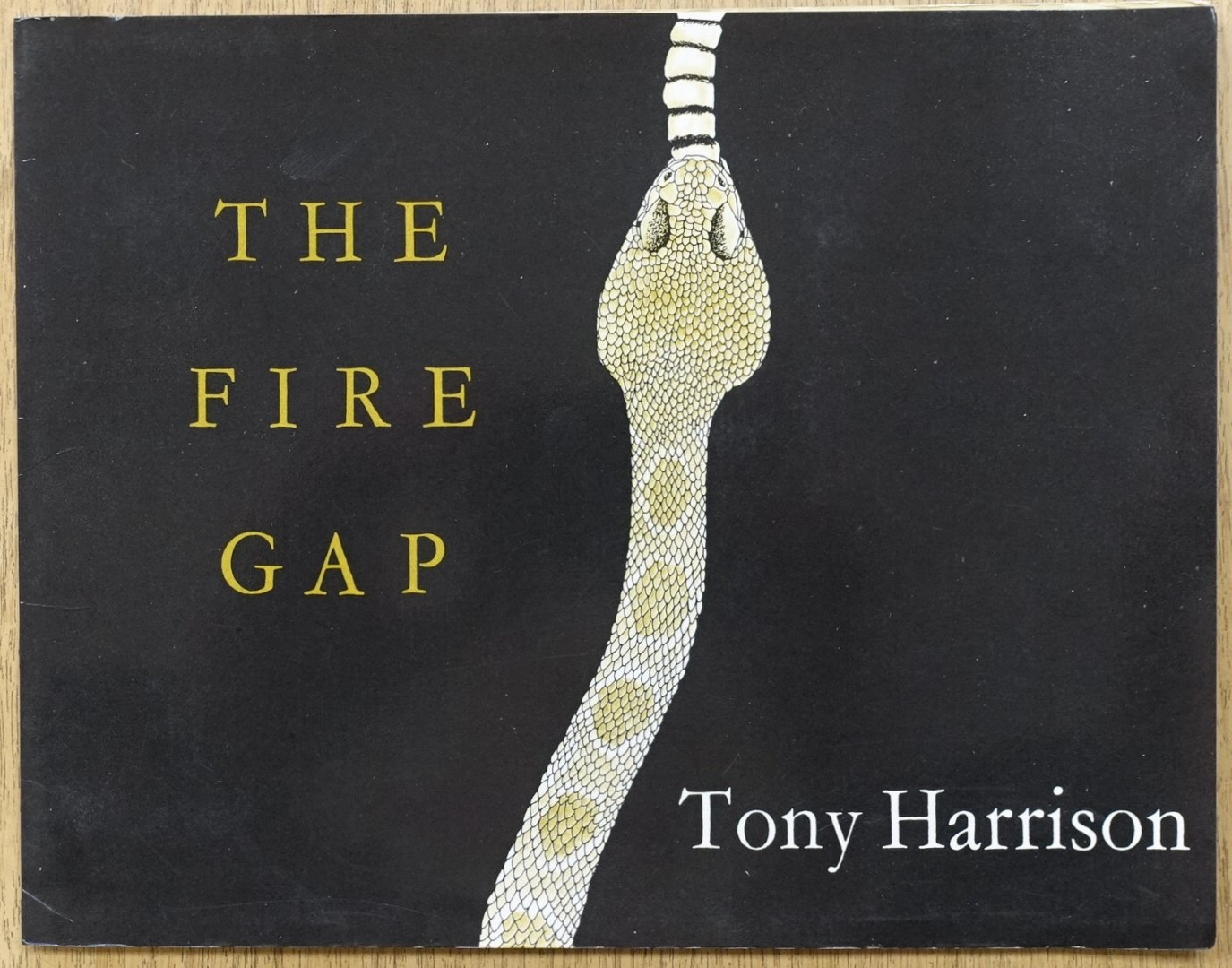 The Fire Gap: A Poem with Two Tails
